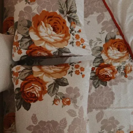 Centar 24 Apartment Kragujevac